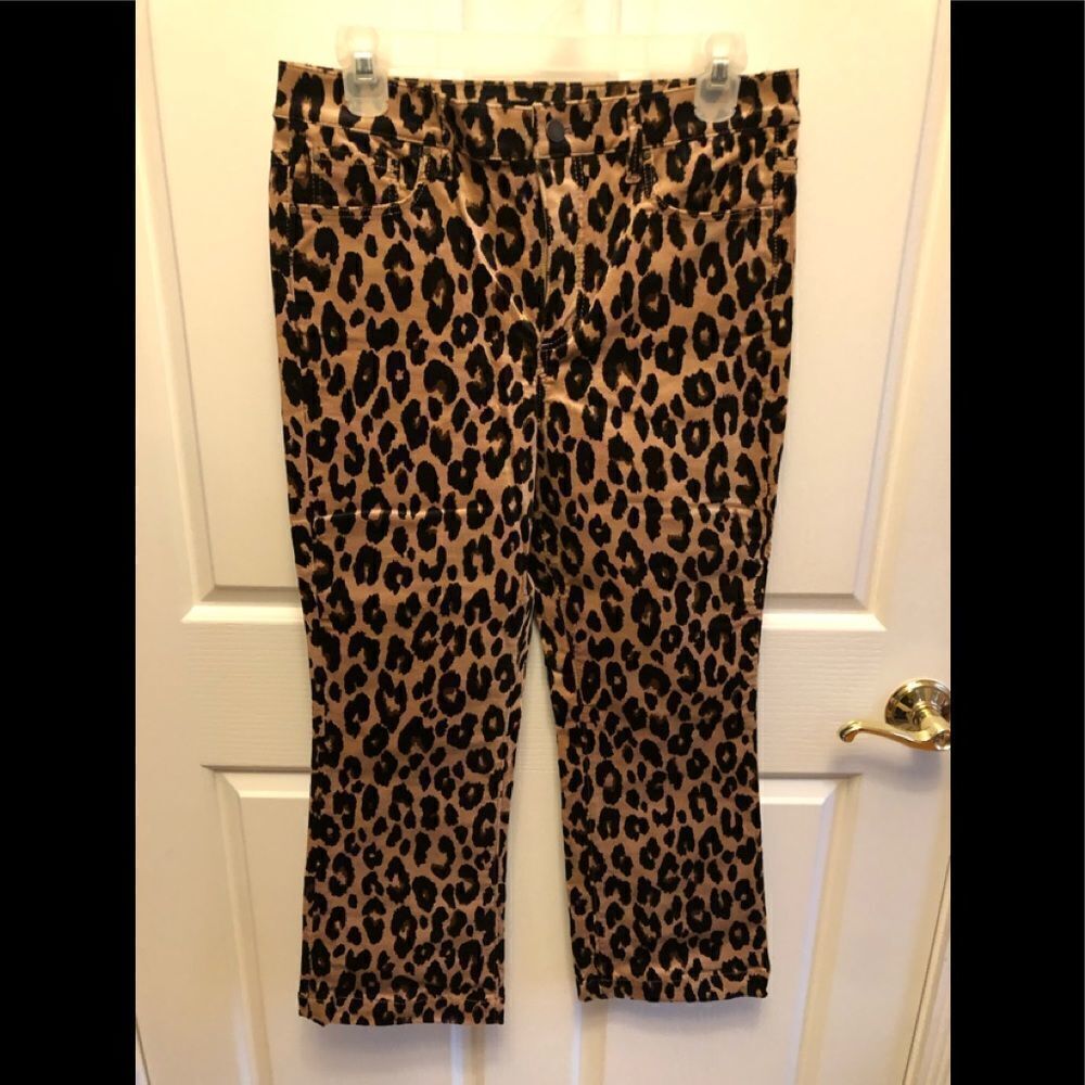 Ann Taylor Animal Print Boot Cut Jeans - Brown and Black